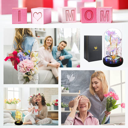 Mothers Day Forever Gifts for Mom, Colorful Flowers Rose in Glass Dome,Galaxy Flowers Rose with 2 Lighted Mode,Rainbow Rose Birthday Gifts for Women,Wife Girlfriend Daughter，Anniversary,Valentines